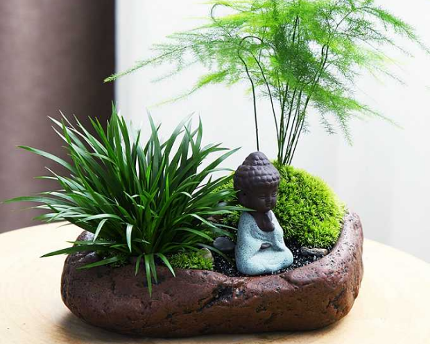 辦公室裝飾盆景擺設(shè)有哪些啥講究？